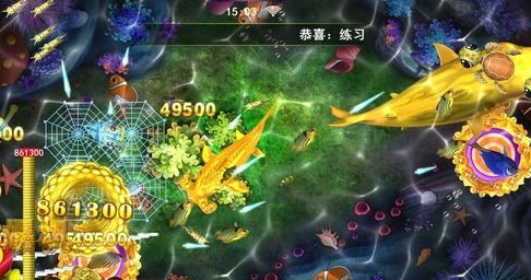 星力游戏平台